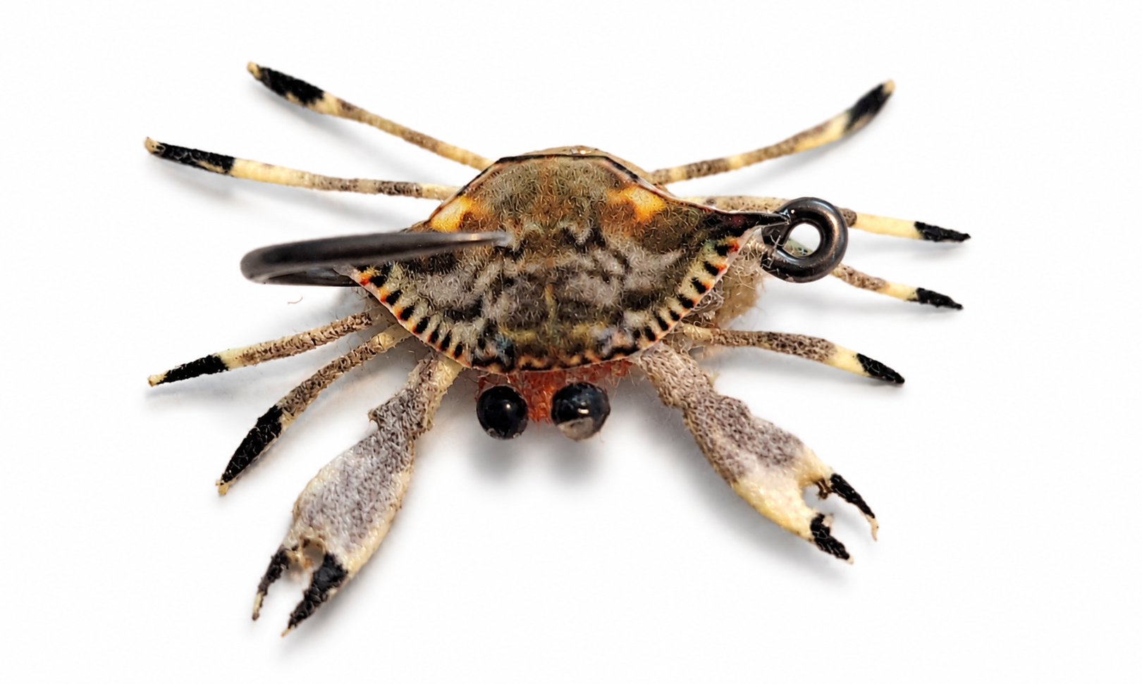 Juvenile Blue Crab Fly